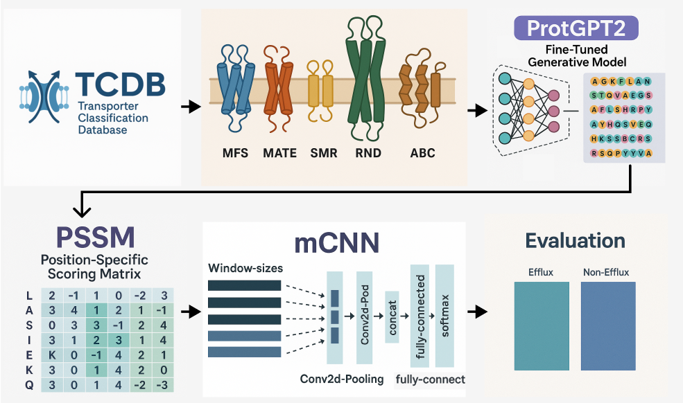 mCNN-GenEfflux: enhanced predicting Efflux protein and their super families by using generative proteins combined with multiple windows convolution neural networks